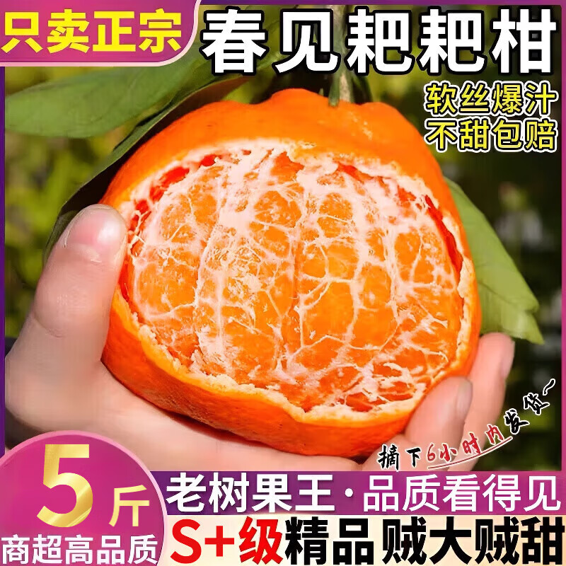 三萌果蔬四川春见耙耙柑【现货速发】新鲜橘子桔子丑柑时令孕妇水果整箱 5斤手挑装【老农手挑】净重4.5斤
