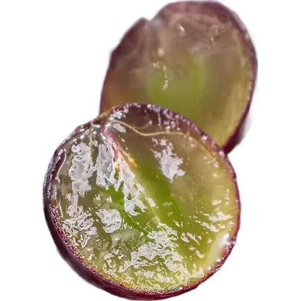 ���ڲ��������ڶ����޷����Ѷ�֭��ˮһ�ڱ�֭����������װ���ʲ�ժӦ������ ���������޷����ѳ�ֵ����5��84.42Ԫ��2��(��42.21Ԫ/��)