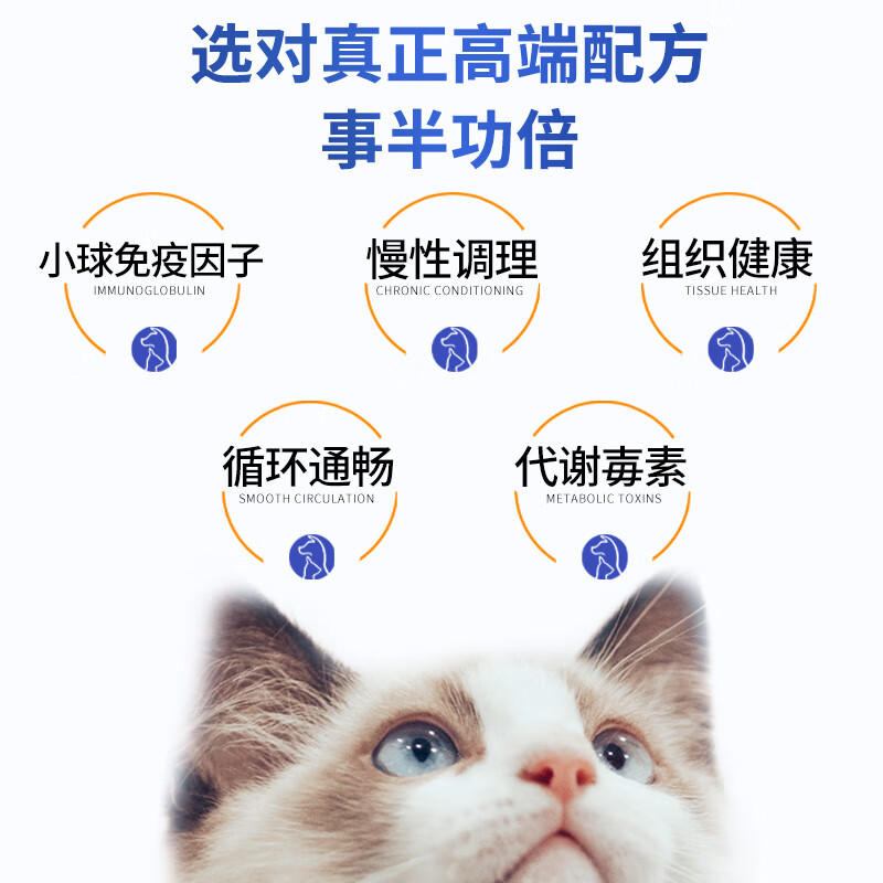 Spacex猫咪护肾肌酐尿蛋白肾小球肾脏营养补充剂胺肾宠物滤过功能衰降 【3支周期装】买2送1立省252元