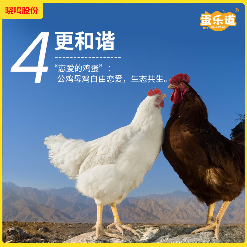 溜达大个鲜鸡蛋红壳谷物喂养非笼养70g盒装6枚原生鸡蛋产地直发 【6枚装】70g/枚大个鸡蛋