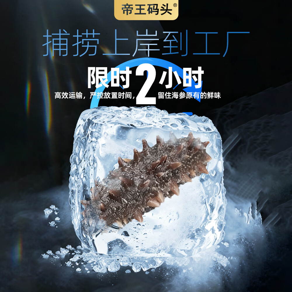 帝王码头即食海参400g真辽参送礼配料表干净交个朋友直播间同款绿色食品 8-10头/400g