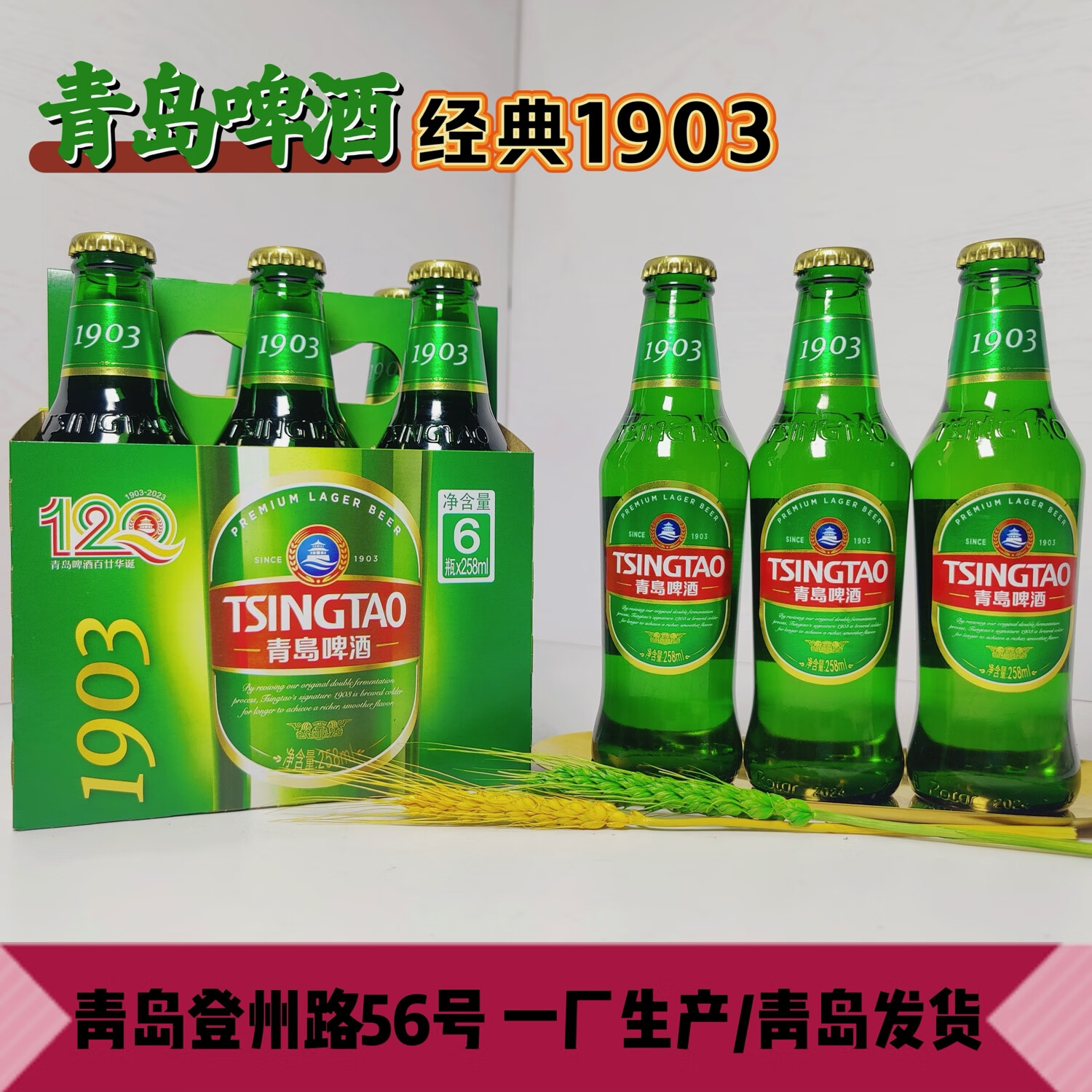 青岛啤酒一厂经典1903青岛登州路56号生产258ml*24瓶整箱装青岛精酿