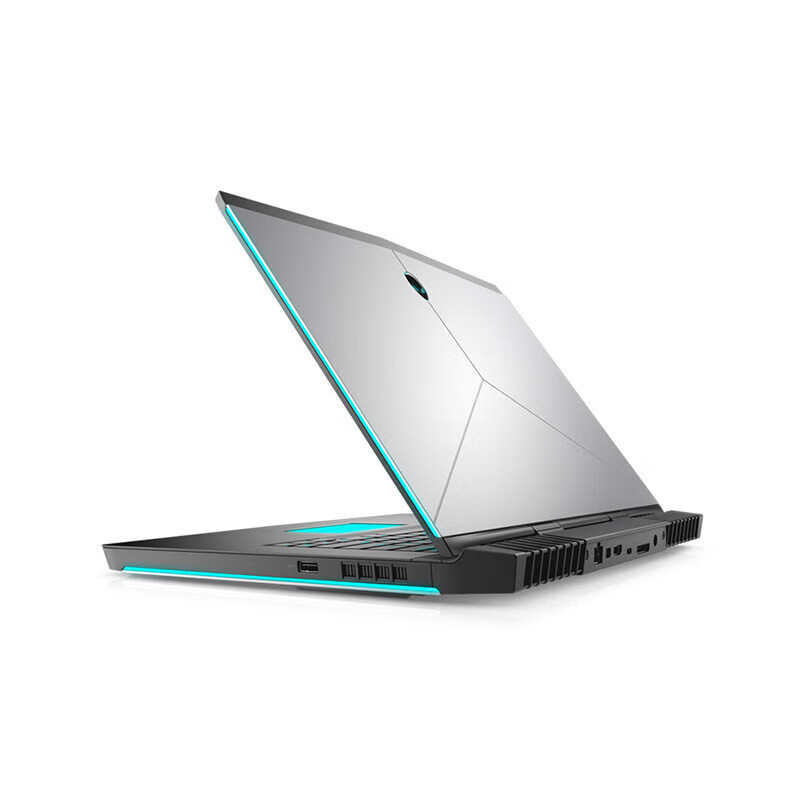 外星人（Alienware）笔记本电脑电竞吃鸡黑神话悟空游戏本17寸独显8G  外星人M17 i7 9750六核 32G内存19