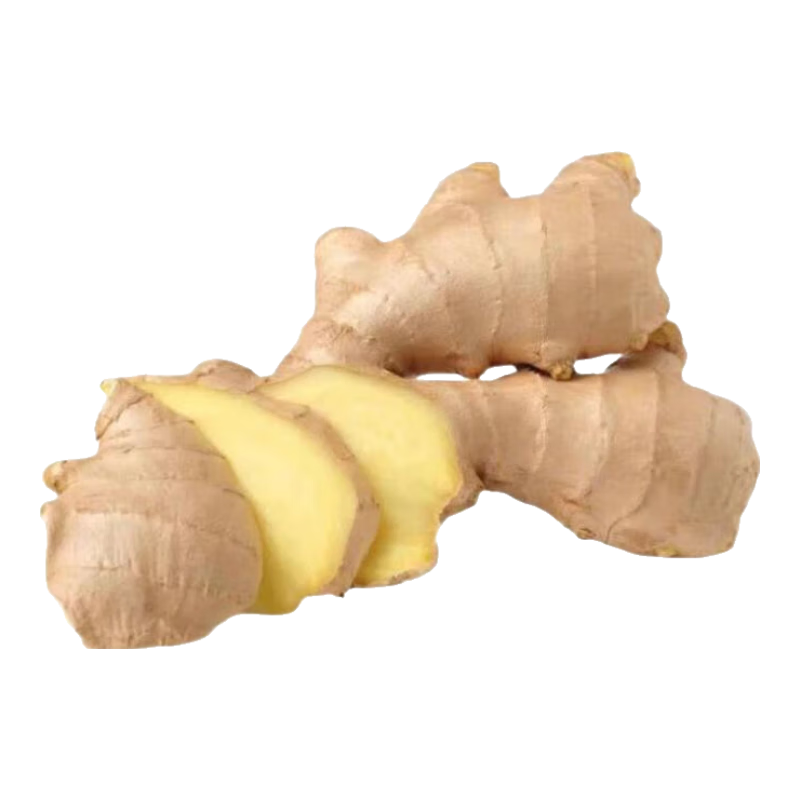 山东大姜风干姜食用姜无土干姜生姜农家自种晒干新鲜正宗大块厨房 山东大姜净重245g