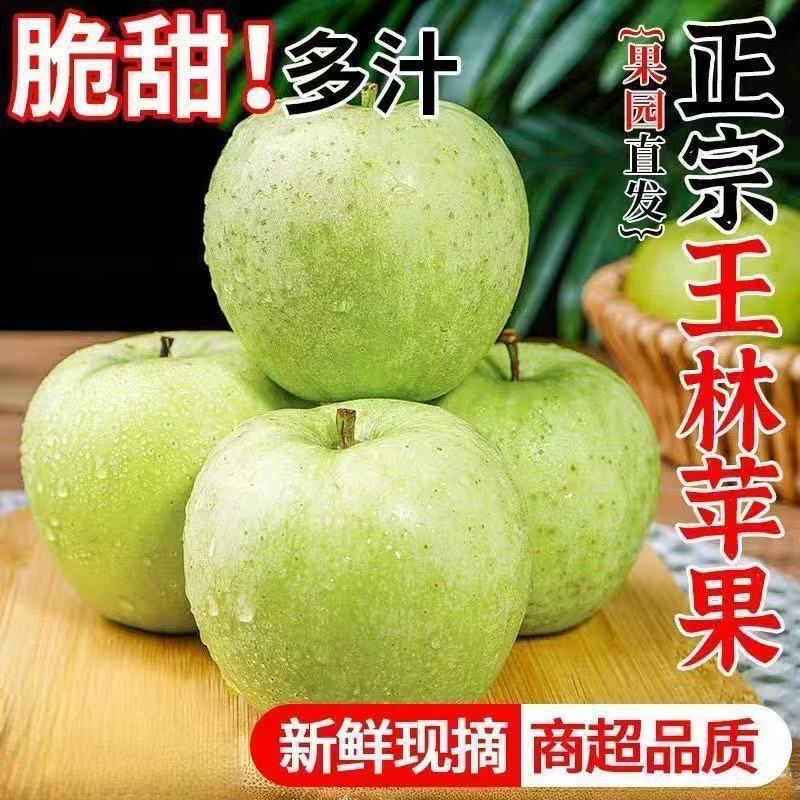 正宗王林苹果生鲜水果当季脆甜雀斑王林青苹果新鲜水果整箱礼盒装 礼盒装【12枚】10斤装【果王送礼】100+mm