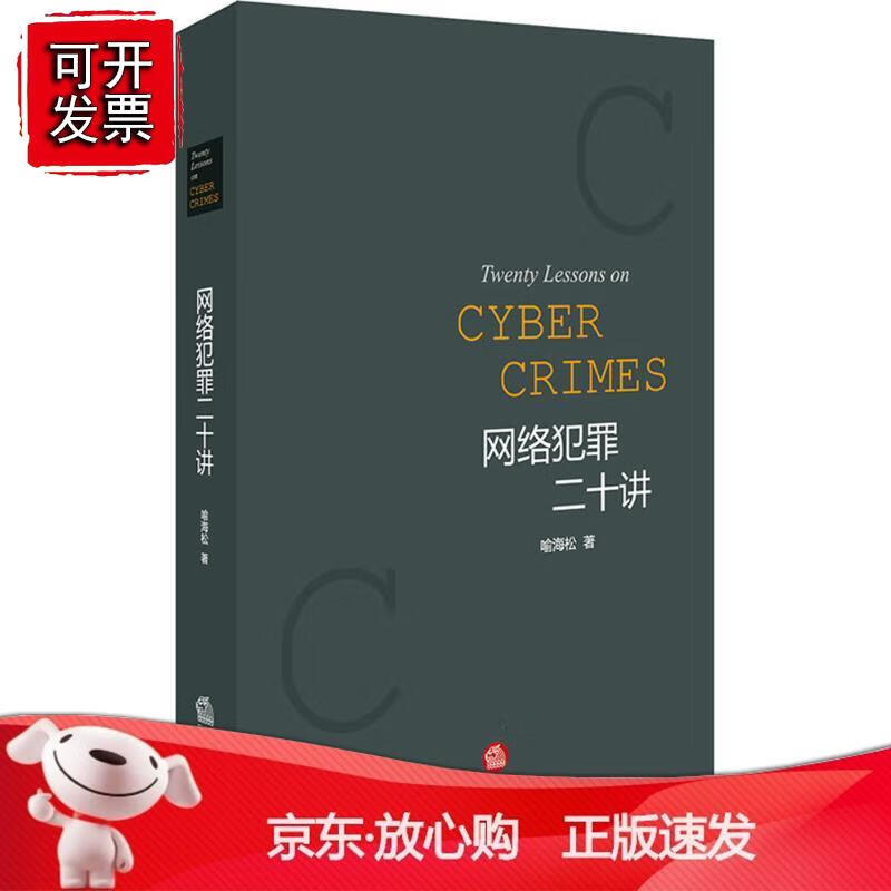 网络犯罪二十讲 法律出版社