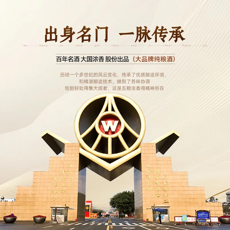 五粮液（WULIANGYE）五粮液股份出品臻品陈白酒优级粮食酒礼盒年货季送礼礼物宴请自饮 52度 500mL 2瓶 五粮液白酒礼盒双支