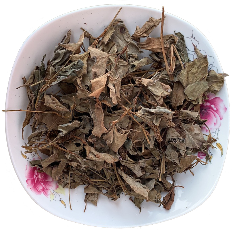 虎钢馋鱼腥草干叶子泡水喝的干货新鲜带叶子折耳根泡茶贵州农家自