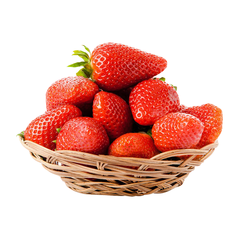 京觅 四川大凉山草莓4盒装 单果13g+ 净重1200g 生鲜水果 源头直发