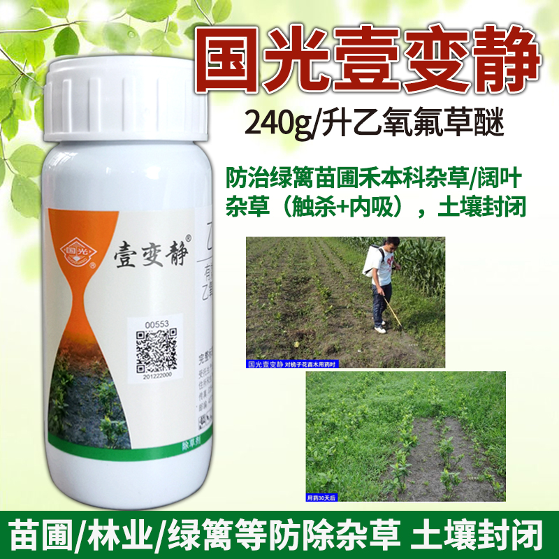 国光乙氧氟草醚一年生杂草园林针叶苗圃石楠松柏杉树除草剂 100ml