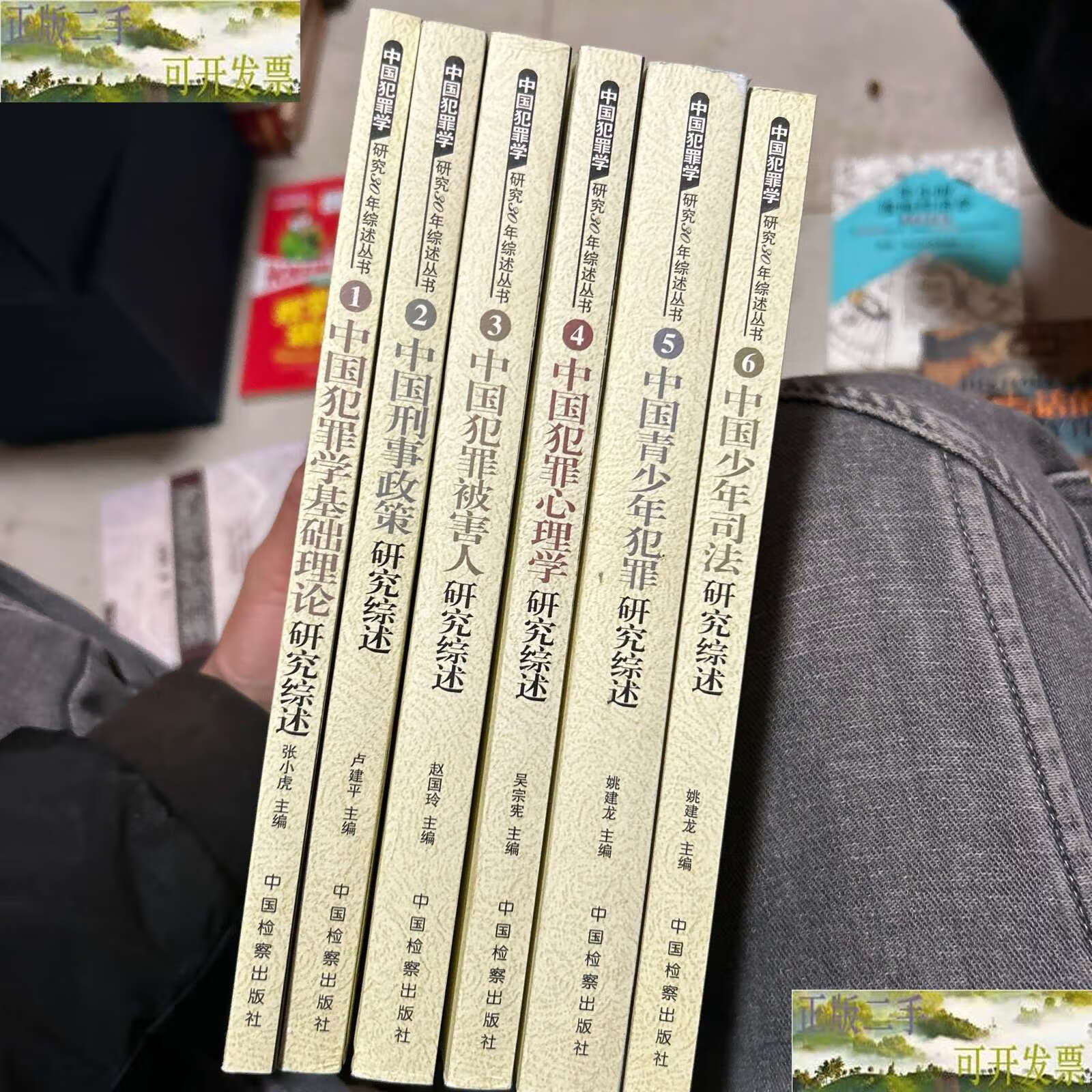中国犯罪学研究30年综述丛书全6册 /卢建平 中国检察