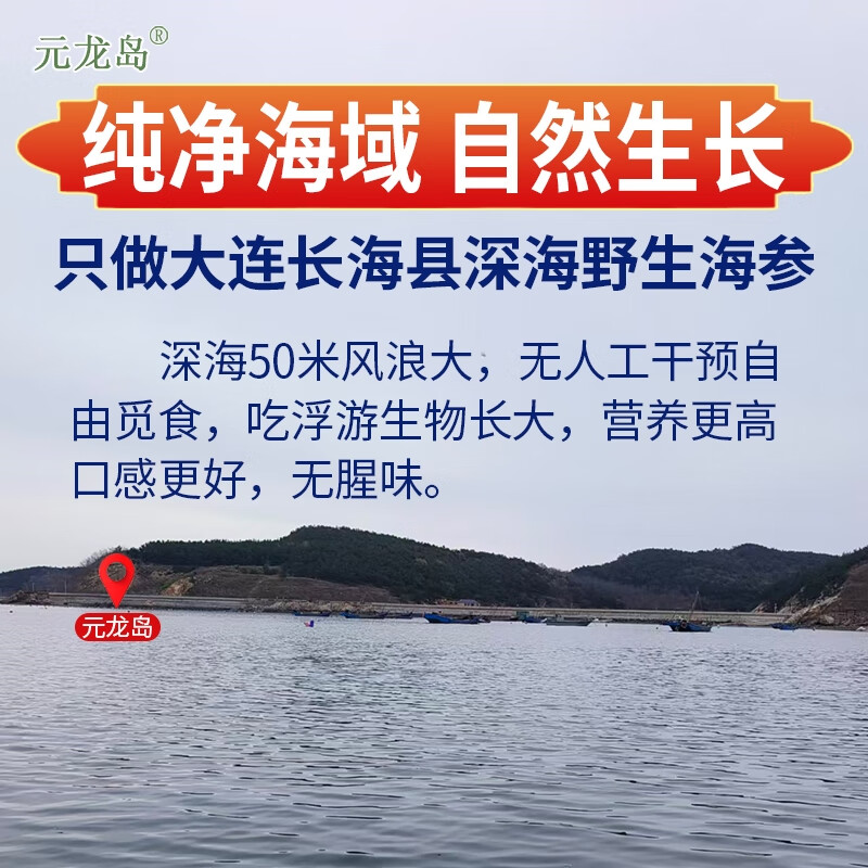 元龙岛即食海参 大连海参 辽参 长海县野生海参底播刺身 鲜食海参礼盒 鲜食海参礼盒1斤 6~10只