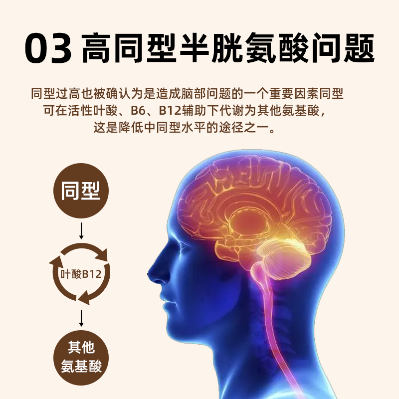 爱维她(Aiveta)活性叶酸降低高同型半胱氨酸五甲基四氢维生素b6b12心脑血管白发 日常补充装40天【降同型守护心脑血管】 20片*2盒