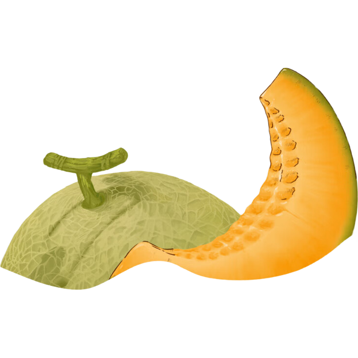 北海牧场哈密瓜果汁牛奶真牛乳营养早餐奶礼盒装200ml*10盒  25.12月底