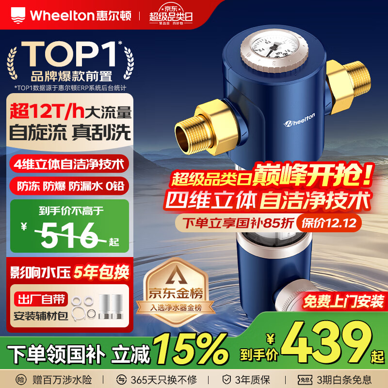惠尔顿（WHEELTON）前置过滤器反冲洗防爆12T全屋净水器家用大流量自动刮洗清洗滤网防爆抗冻自来水管过滤器p0038pro 上门安装【无需更换滤芯】