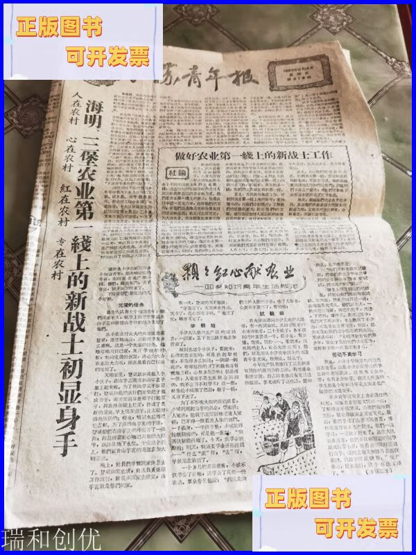 江苏青年报1960年11月18日 江苏青年报