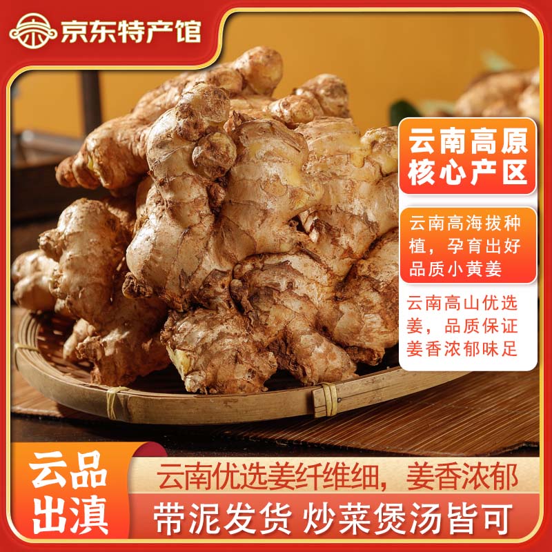 云南罗平黄姜 新鲜现挖老姜生姜生鲜蔬菜优选小黄姜源头直发蔬菜 优选小黄姜*1斤【带箱】
