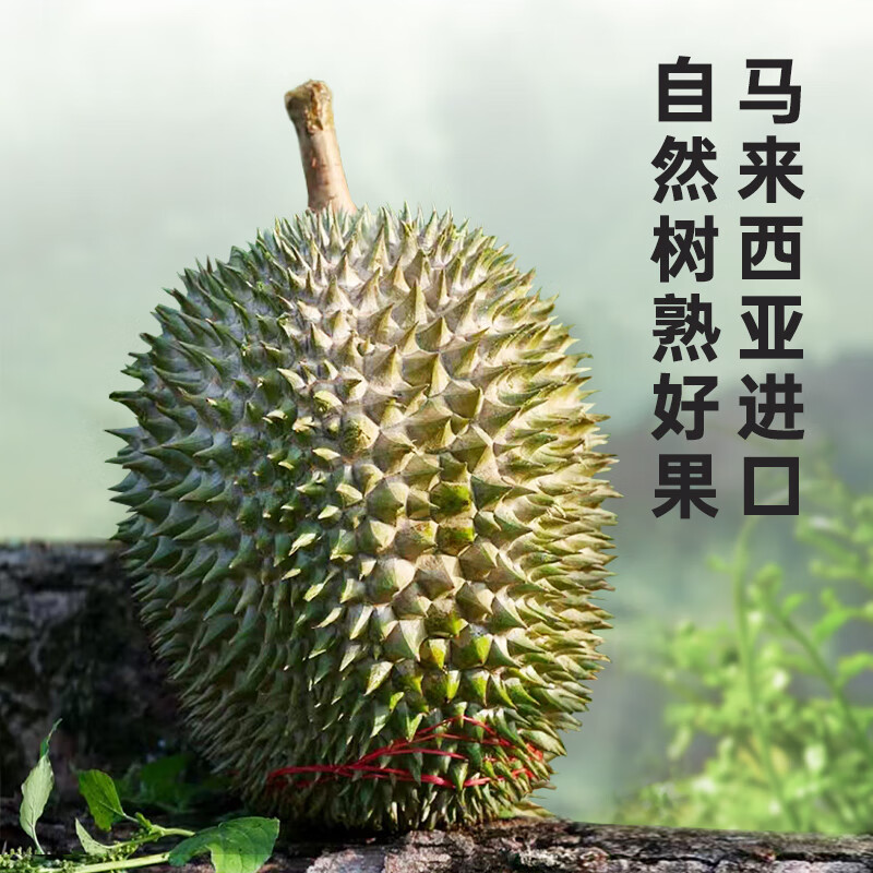 至尚云巅红肉冷冻榴莲肉生鲜水果D101 AA果3.5-4斤【保4房】