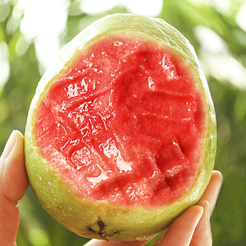 鲜宝道广西奶油白心红心芭乐软心软糯新鲜孕妇水果番石榴硬脆甜 红心芭乐1斤100-200克净重1斤