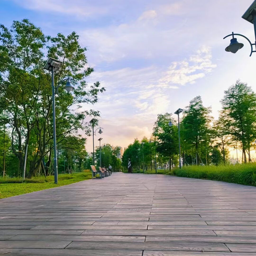 溥畔水泥仿木地板户外景区公园栈道板防滑钢筋混凝土仿木纹地砖 咖啡色尺寸：2000*150*60