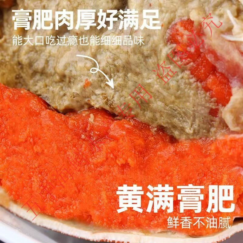 英伦爱尔兰面面包蟹鲜活熟冻母蟹超大螃蟹膏蟹黄金面包蟹加热即食