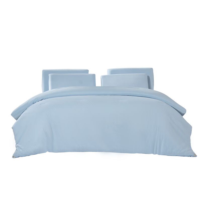 ������xJDear����������˯�����ļ���A��ɣ��˿�����ⱻ�ױ�о200x230cm 599.0Ԫ����599Ԫ/����