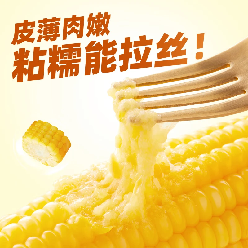 榴某某东北黄糯玉米棒【2025年新玉米】新鲜甜糯玉米棒代餐轻食真空包装 白糯玉米段 7-8段【净重1KG】