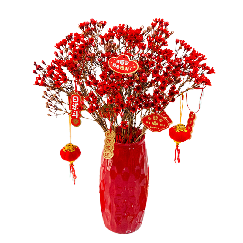 京东鲜花云南基地直发红色腊梅300g年宵花生活鲜花源头直发