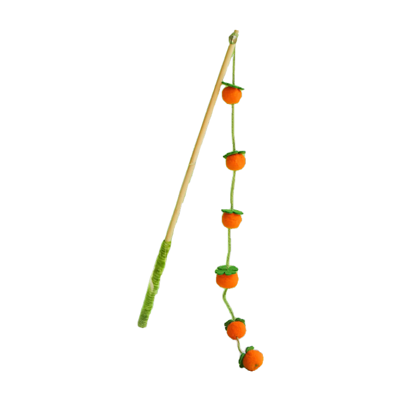 ���ӹ��� ������è��߶�è��ʵľ������ҧè�����˽������� ��è��Ʒ 9.9Ԫ(����ȯ)