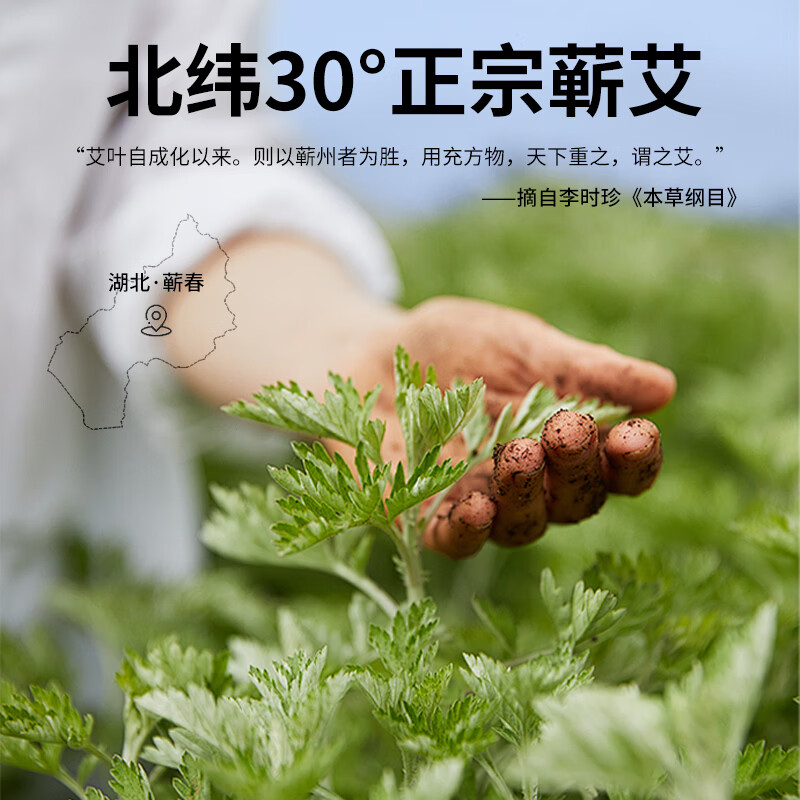 Rodel金艾条艾灸三年陈艾黄金艾绒天然野生家用艾灸馆艾绒纯 宫延灸 三年陈艾