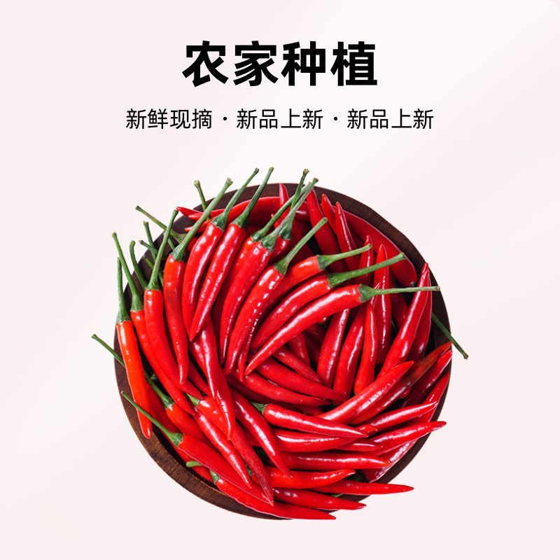 新鲜小米辣贵州特辣红辣椒辣椒小米鲜椒朝天椒魔鬼泡椒指天椒巨辣 新鲜现摘小米椒【现摘现发】 净重1斤