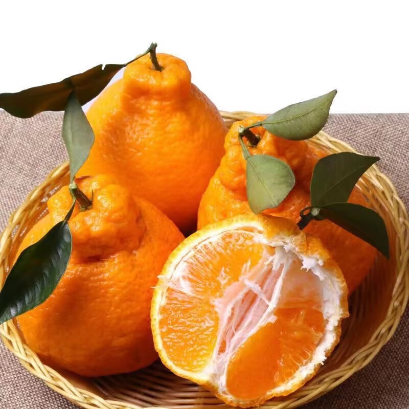 同甘园四川春见耙耙柑新鲜水果整箱孕妇橘子时令柑橘 整箱5斤精选果径70-75MM净4.5斤