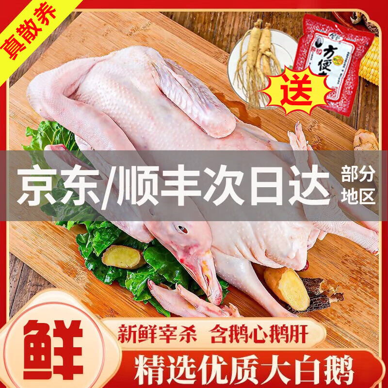 ���ڲ����������� ��ɱ���ũ��ɢ�� ����6-7��/ֻ���ϰ�+�ʲΡ�