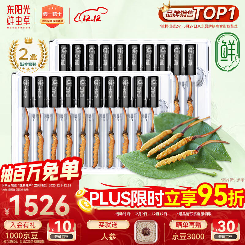 东阳光鲜虫草0.4-0.6g/根20根新鲜冬虫夏草补品送长辈老人源头直发包邮