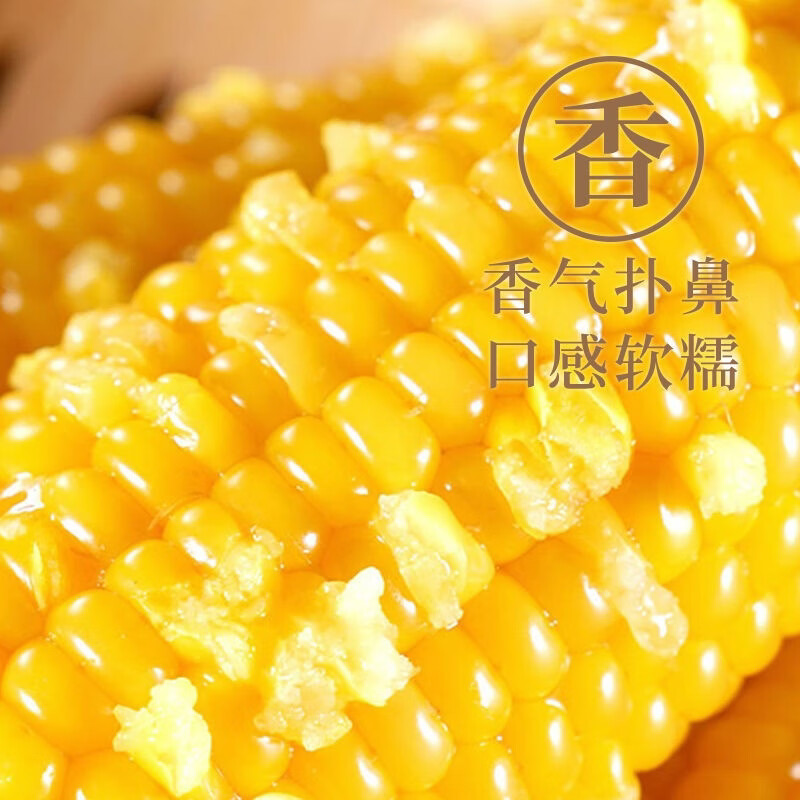王老宝25年新玉米东北糯玉米 非转基因玉米棒 真空新鲜甜糯粘玉米 代餐 黄糯玉米12支 单支≥180g