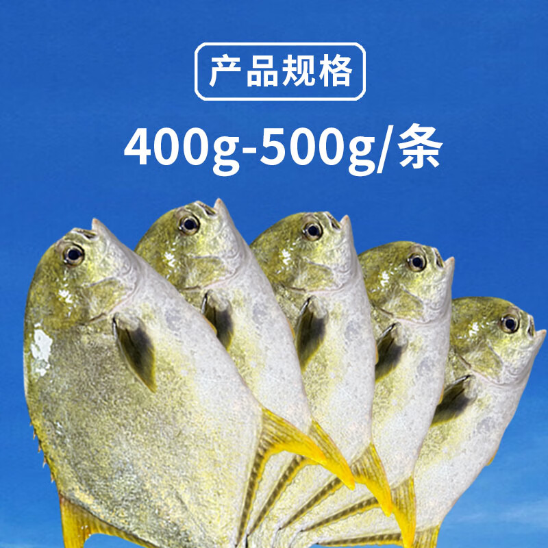 超低温急冻金鲳鱼新鲜深海捕捞400-500g/条，共5条
