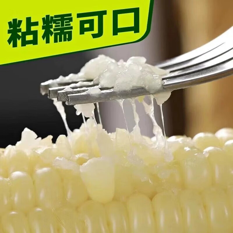 新疆白糯玉米 早餐代餐 单穗大克重 真空锁鲜软糯香甜 【精选玉米】10根/箱