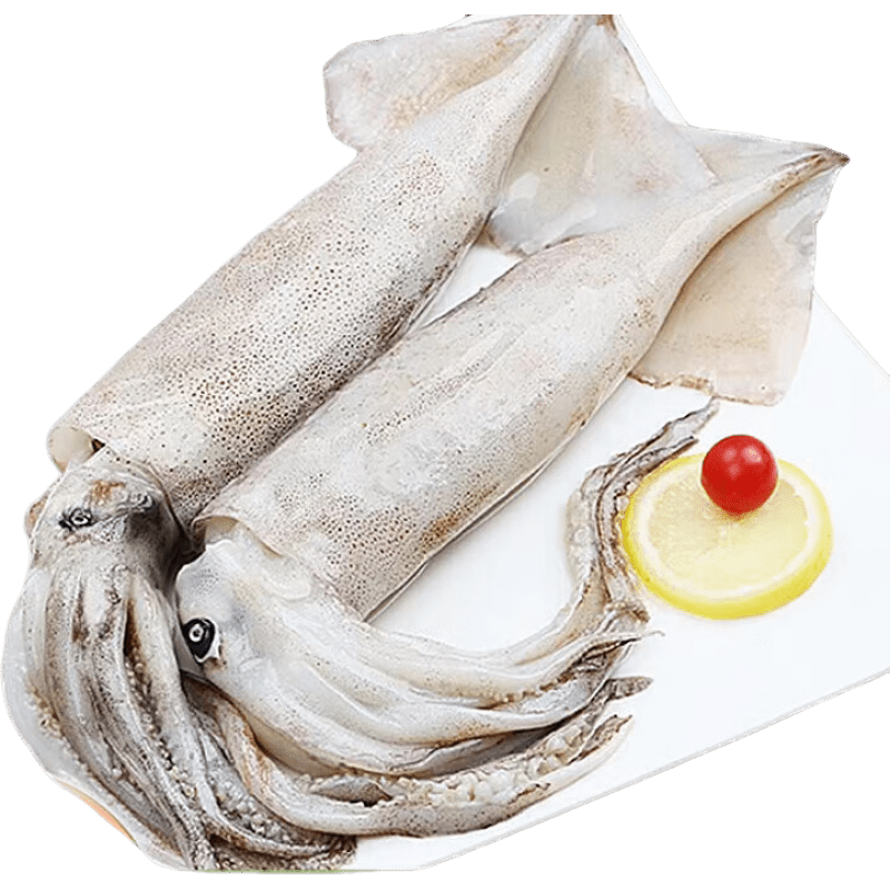 勋康海开背鲜冻鱿鱼 冷冻鱿鱼船冻三去鱿鱼整条整只 三去开背 鱿鱼5斤