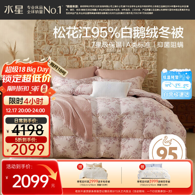 水星家纺羽绒被95%白鹅绒被子冬季加厚冬被芯双人羽绒被200cm×230cm1000g