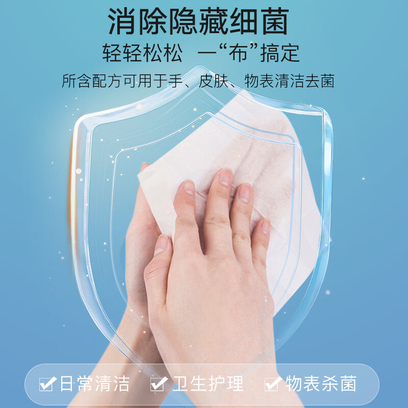 倩挥迷你酒精湿巾75%便携小包整提装消毒清洁75度卫生棉片湿纸巾专用 【小包装】酒精湿巾-10片装 数量6