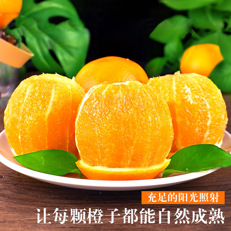 赣南脐橙新鲜橙子当季孕妇儿童水果薄皮多汁橙子大果赣南脐橙整箱 精品果净重4.5斤（单果60-70mm）