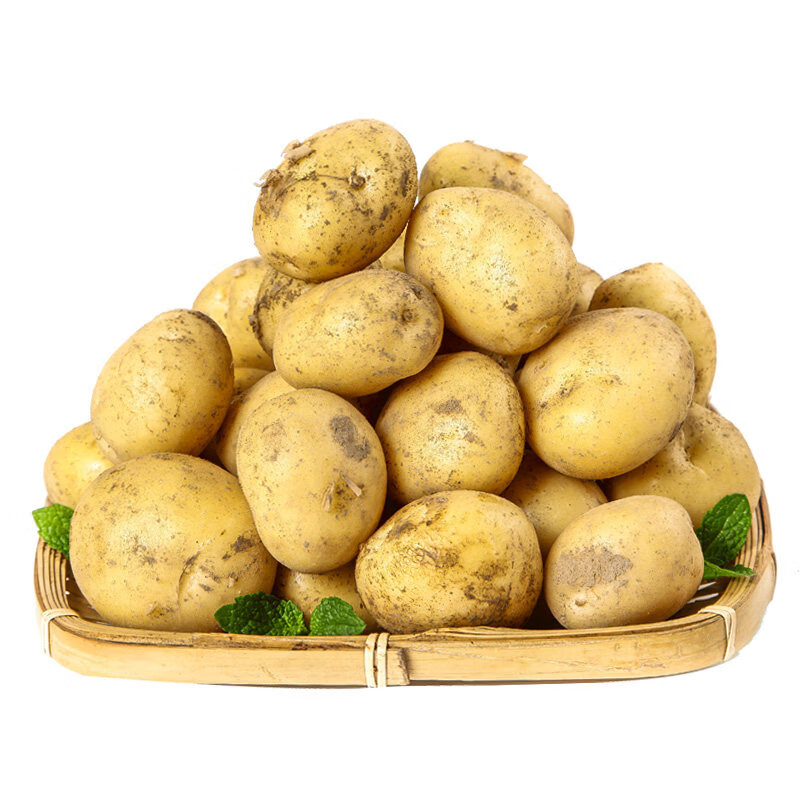 京鲜匠山东新鲜小土豆 现挖黄心马铃薯蔬菜 产地直发 净4.5斤 精品果
