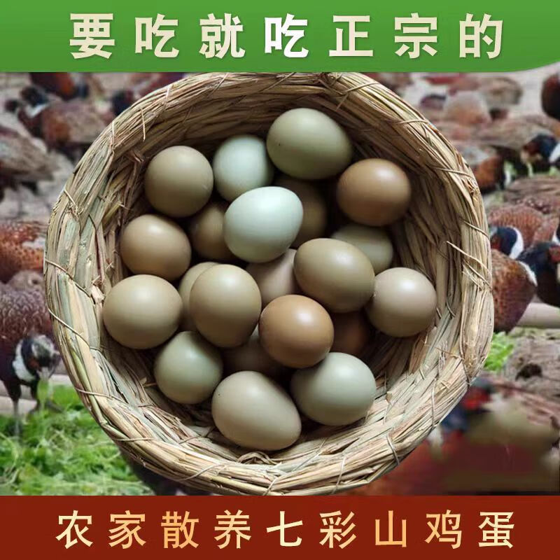 聚天然野山鸡蛋农家新鲜现捡山鸡蛋五谷喂养山鸡蛋七彩野山鸡鸡蛋 精品礼盒装山鸡蛋60枚