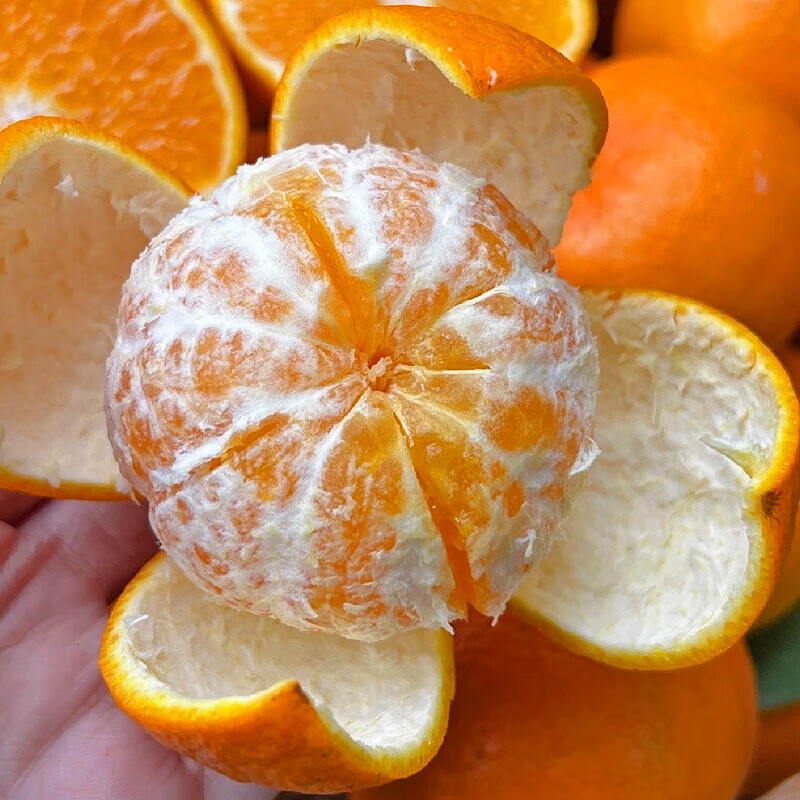 薏品甄鲜广西武鸣沃柑新鲜上市 鲜嫩化渣高糖低酸 现摘现发新鲜直达 60mm+净重8.5斤