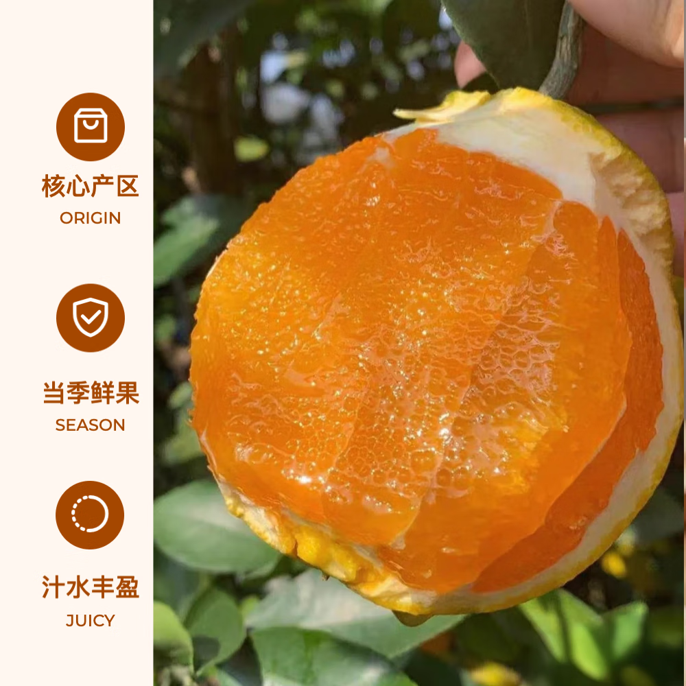 秭归脐橙当季新果产地直发九月红橙子新鲜采摘应季水果榨汁整箱 70mm-80mm （净重9斤大果臻品款）