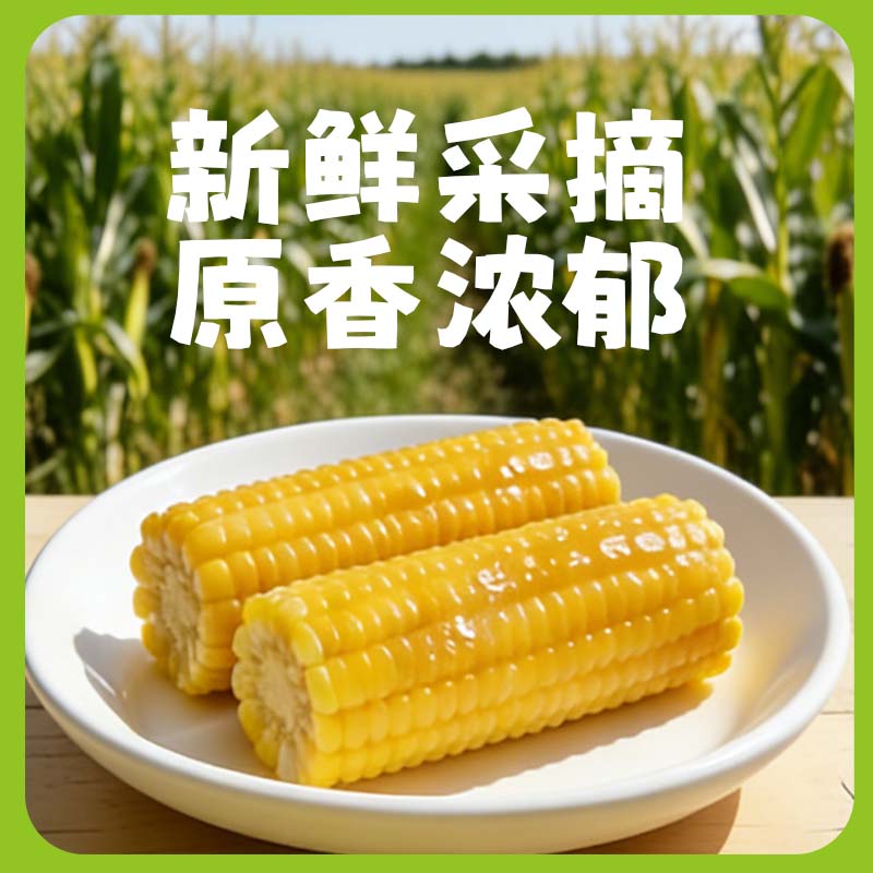 凉水滩鲜食玉米东北黑土大根黄玉米开袋即食可蒸煮炖汤真空锁鲜早餐代餐 黄糯玉米3.3斤约330g*5根