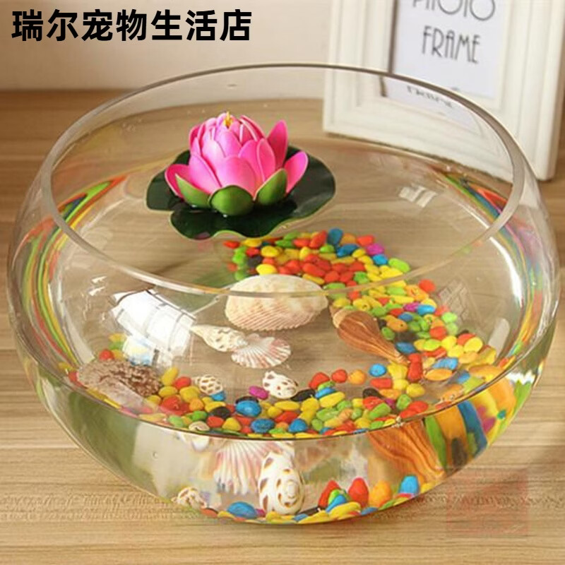 意牌創(chuàng)意水族箱生態(tài)圓形玻璃金魚缸 大號烏龜缸 迷你小型造景水培花瓶 20CM圓盆(裸缸)