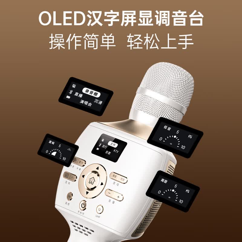 魅鸟智屏音响麦PLUS话筒音响一体自带声卡麦克风 全民k歌麦克风魅鸟唱吧家庭ktv 主播直播户外唱录歌 40W经典旗舰PLUS【品牌爆款】