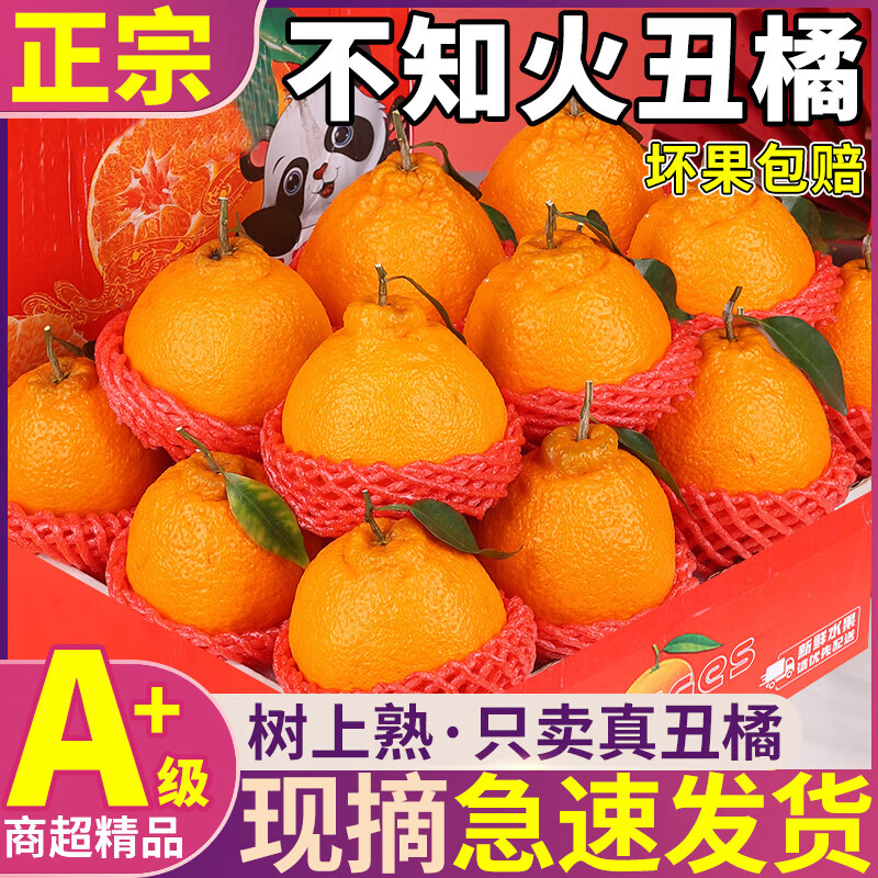 ��ӭ�Ĵ���֪����١����Ͷ�ش��մˮ���̽�������ˮ����Ʒ������ 9�����װ���곤����--��ͥ���ԡ���8.5�� A+���̳���������70-75mm������ 55.9Ԫ