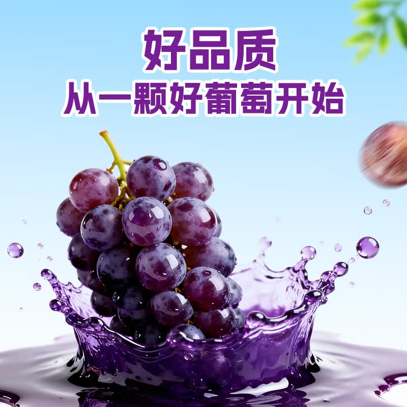 轻上果汁含量饮料橙汁苹果汁葡萄汁果汁饮品年货饮料送礼礼盒 100%果汁含量葡萄汁220ml*10瓶